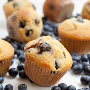 Blueberry Muffin Fragrance