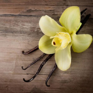 Vanilla Bean Fragrance