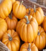 Perfect Pumpkin Fragrance