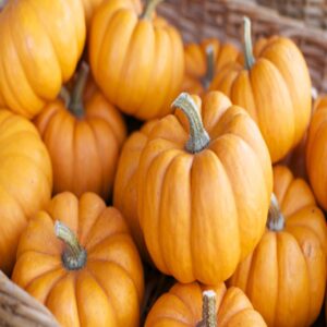 Perfect Pumpkin Fragrance