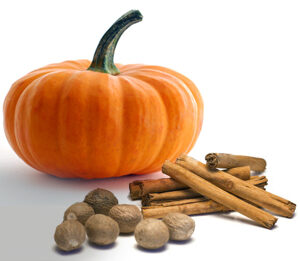 Pumpkin Spice Fragrance