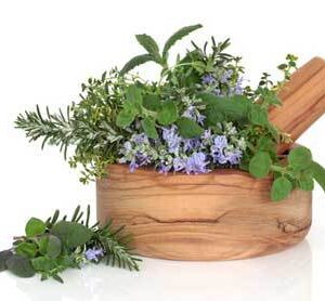 Rosemary Mint Fragrance
