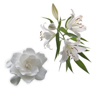 Gardenia Lily Fragrance